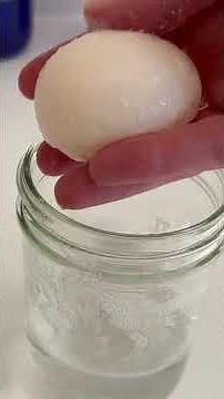 Rubber Bouncy Egg Science Experiment for Kids! 🥚🧪