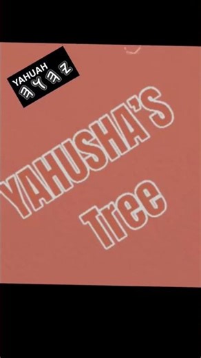 Besorah of YAHUSHA : YAHUAH’S Map : YAHUSHA Tree aka Joshua Tree Nat’l Forest, CA