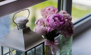 Do Security Cameras Work through Window? [Answered]