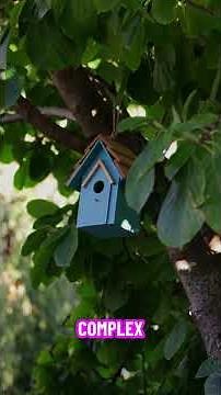 Bayesian Optimization: The Smart Way to Tune AI