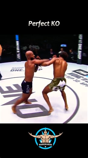 Art of the Mighty Mouse🐭🔥 #shorts