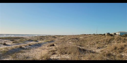 3.6K views · 259 reactions | Happy 1st day of spring! Here is a clip from the end of our livestream. Have a great day  | First Light InSite | Facebook