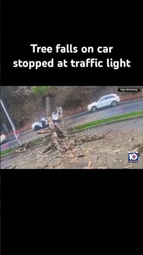 Tree falls on car stopped at traffic light #pennsylvania