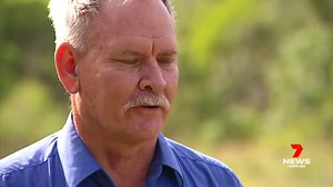 18K views · 122 reactions | Bundaberg growers are desperately turning to the state government for help to cull the exploding population of feral pigs across the North Burnett. They say the pests terrorising their farms and leaving them thousands of dollars out of pocket. 7NEWS at 6pm. More local news: 7news.com.au/news/wide-bay #7NEWS | 7NEWS Wide Bay | Facebook