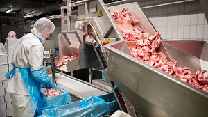 How a Modern Pork Factory Works in Germany – Full Process Revealed