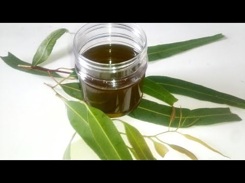 How to Make Eucalyptus Oil