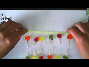 KS3 Science - Inheritance and DNA