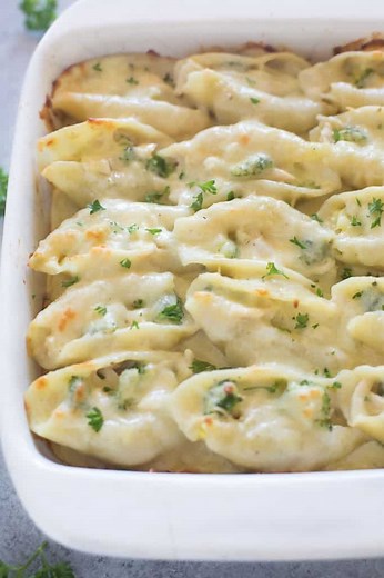 Chicken Alfredo Stuffed Shells - Tastes Better from Scratch