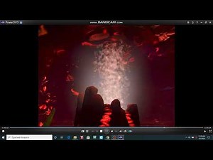 Finding Nemo 2003 DVD Menu Walkthrough Disc 2