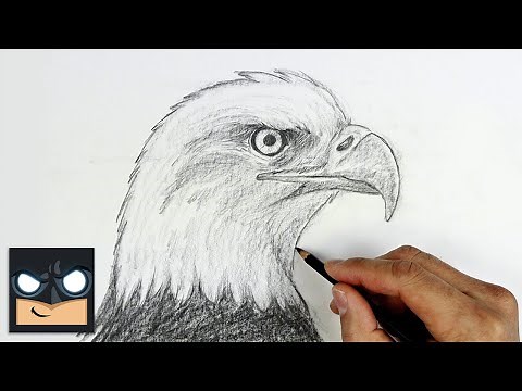 How To Draw a Bald Eagle | Beginner Pencil Tutorial (Step-by-Step)