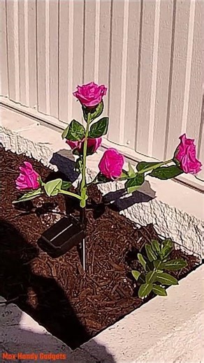 Solar Rose Flower Lights that Change Colors #solarflowerlights