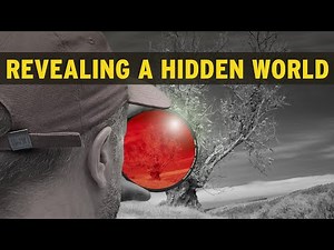 The Unseen World of Infrared Photography