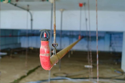 #414 – Fire Sprinkler Testing Procedures & Replacement in NFPA 25