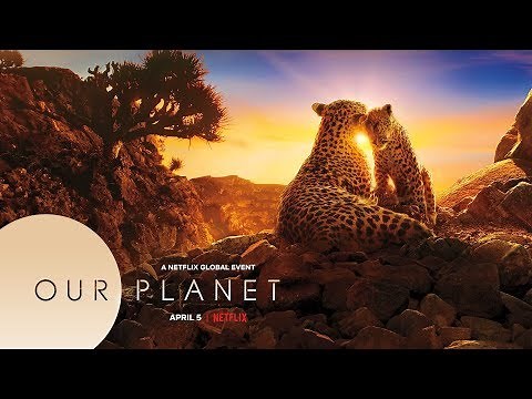 Our Planet - Trailer | Netflix | Dolby Atmos + Dolby Vision