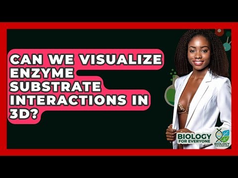 Can We Visualize Enzyme Substrate Interactions In 3D? - Biology For Everyone