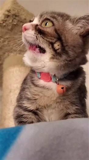 Winky on Instagram: "Winky's longest sneezing video"