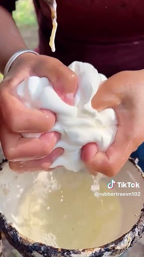 Understanding the Rubber Tree Process