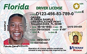Introducing the New Florida Driver's License Design