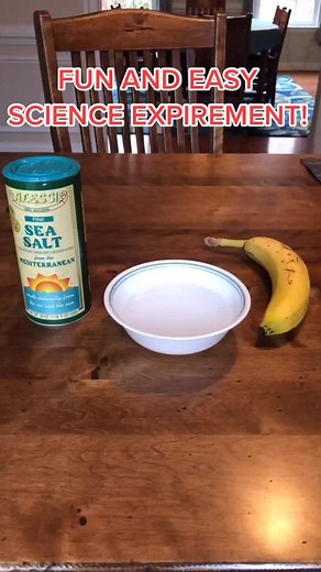 Fun, Quick, and Easy Science Expirement to Try with your Friends and Family this Holifay Season! #science #diy #easy #fun