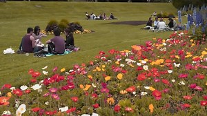 1.5K views | LOCAL 10 NEWS RIGHT NOW!: The CDC announces a major step towards returning to pre-pandemic life as the government agency says for those who have been fully vaccinated, no masks are necessary, 2 BSO deputies who lost their jobs after the Parkland massacre could be back on the force, and police have arrested a homeowner in Coconut Creek accusing him of recording women being drugged and raped. Local 10's Calvin Hughes and Nicole Perez have the latest. | WPLG Local 10 | Facebook