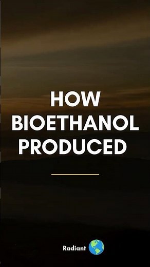 Bioethanol Production Process Step-by-Step Guide | Sustainable Energy from Sugarcane
