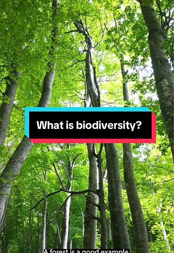 Understanding Biodiversity and Ecosystems