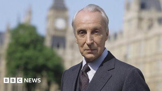 What are whips and are MPs scared of them?