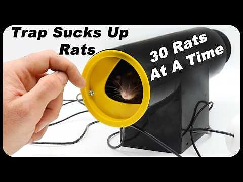 Huge RATS Sucked Up With New Rat Vac Trap - 30 Rats At A Time! Amazing New Trap. Mousetrap Monday.