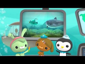 Creature Report - The Octonauts-2
