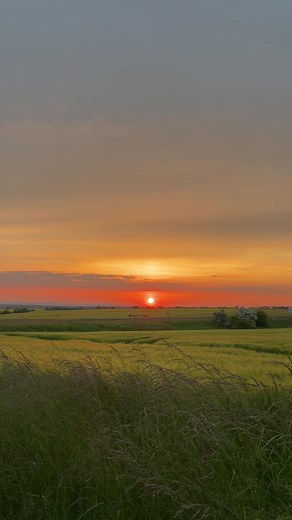 Beautiful sunset #sunset #nature #naturepaysage #beautifulday #mentalhealth #soleil #relaxation #paysagemagnifiques #paysage4k #videopaysage #calme #color #it'sabeautifulday #peace