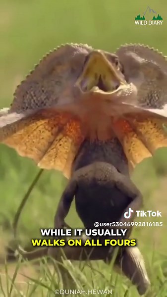 user53046992816185 on TikTok