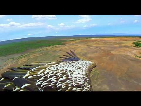 Earthflight - Official Trailer