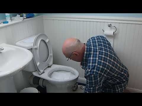 How to take a stool sample