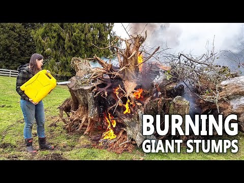 Tree Stump Removal - Part 2: Burning, Splitting, Backfilling, and Sowing Seed