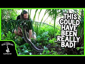 FINDING AFRICA'S BIGGEST SNAKE!