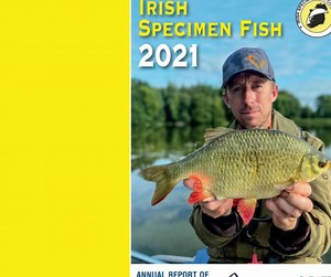 New: Irish Fish Specimen Committee Report for 2021 is now available to download & in hard copy from IFI regional offices. One new Irish record was set by Jim Clohessy from Cork, who broke the existing record for a rare species, the Stone Basse, when fishing off Cork Harbour. Congratulations Jim! You'll find other highlights on the SpecimenFish.ie website #TightLines #GoFishing #Conservation#IrishAngling #InlandFisheriesIreland | Inland Fisheries Ireland | Facebook