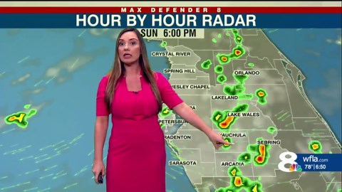 News Channel 8 Today: Weekend Edition