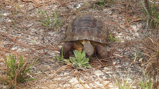 8.4K views · 184 reactions | How much do you know about the...