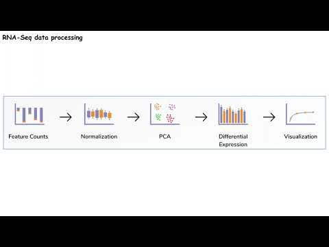 Initial view of transcriptome analysis