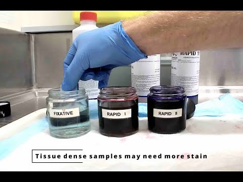 Diff Quik® protocol