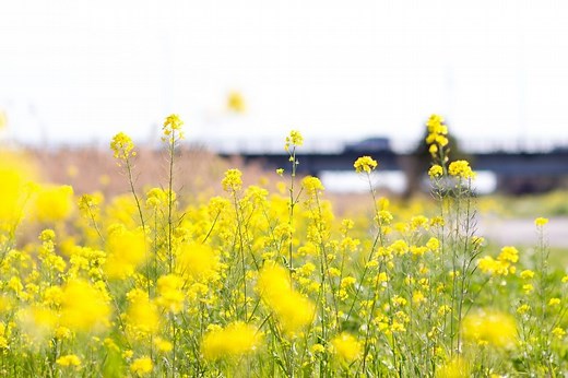 擬似クラス！CSSでnth-of-typeを使う方法【初心者向け】現役エンジニアが解説