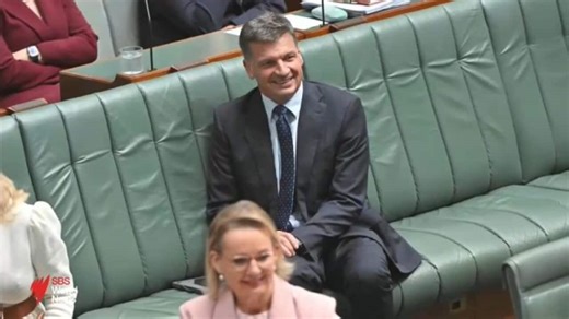 Coalition split sealed but internal threats to Ley's Liberal leadership remain