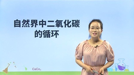 自然界中二氧化碳的循环