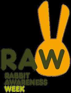 The guide to rabbit behaviour | Rabbit Awareness Week