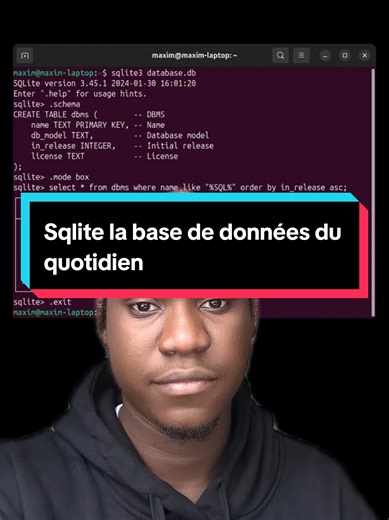 Sqlite la base de données du quotidien #dev #database #sqlite #programming