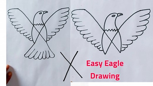 189K views · 4.3K reactions | How to draw an eagle | Easy eagle draw | Easy drawing | Priyanka creative guru | Facebook