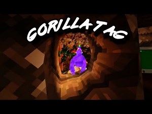 Gorilla tag gameplay (SteamVR)