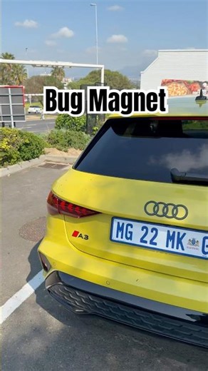 Yellow Cars = Bug Magnets 🐝😂 | Car Life Problems