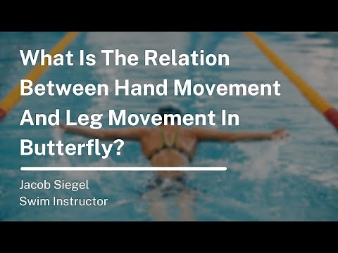 How to Swim the Butterfly Stroke