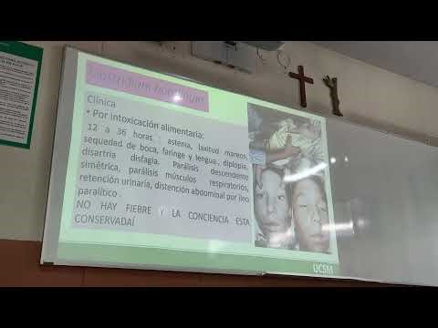 Micro Teo F2-clostridium, bacillus, corynebacterium, actinomicetos, nocardia, microbacterium leprae